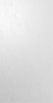 Керамогранит TU204000R Легион светлый обрезн.