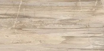 Керамогранит Petrified CORE BEIGE TIGER LAPP 29