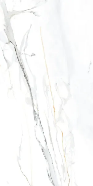 EMPORIO CALCCATTA 60X120 (1)