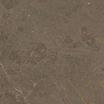 Вставка 610090001459 S.S. Grey Bottone Wax  Вакс