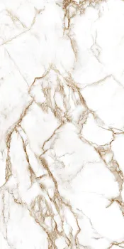 Керамогранит Tajmahal Shine 60x120