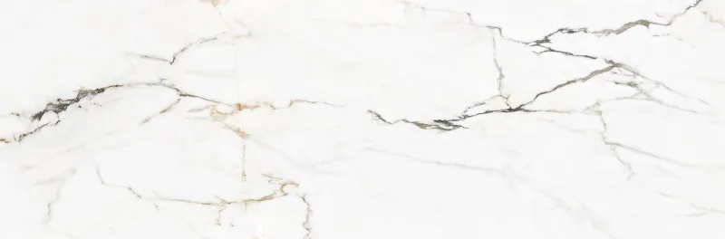 ui0qnlpbn0c7gjkpltncjv29c74w588z