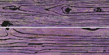 Декор LIST.LACCHE LEGNI AMETISTA (комп. 2шт)