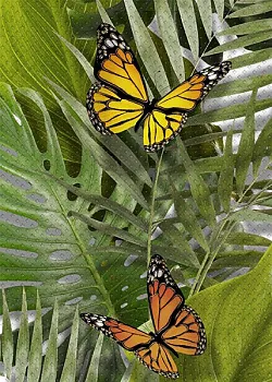 Декор Tropicana (TC2M021DT)