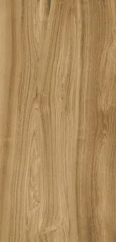 Керамогранит Xlight Premium Ewood Camel Nature (С229803551)