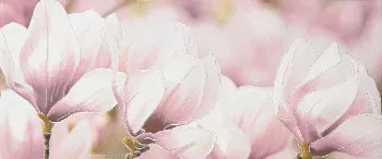 Декор Rapsodia violet decor 01 (010301001712)