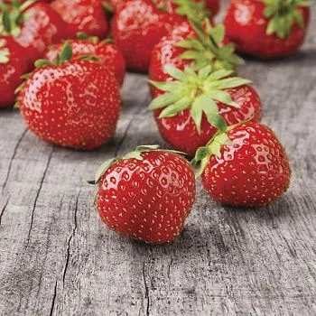 Вставка Bella Клубника 2