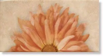 Декор Décor Dalia Ocre