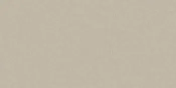 Керамогранит RAINBOW RW031 Непол.Рект.