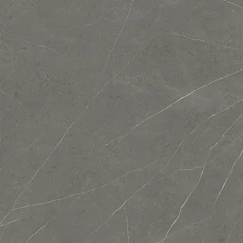 Керамогранит Xlight Premium Liem Grey Silk (C221100751)