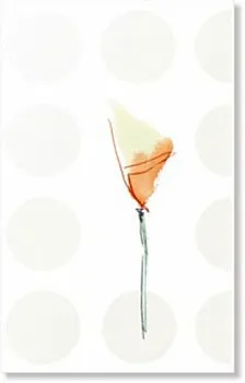 930005-6  Декор CR3/296 SOLARIS FIORI