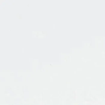 Вставка TOZZETTO BIANCO T13