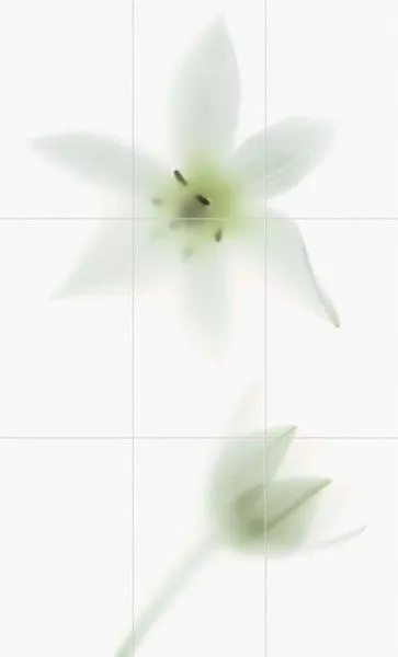 Панно TD9/002 NOVAGREY COMP B/9 (изображение)