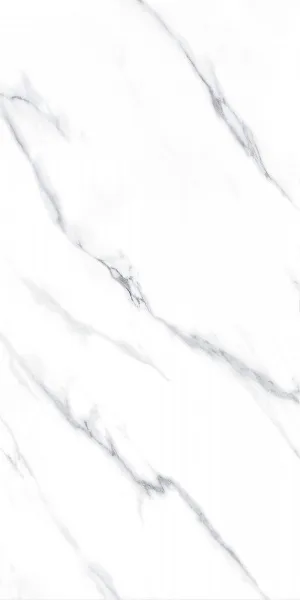 Керамогранит Carrara NPlus 60х120