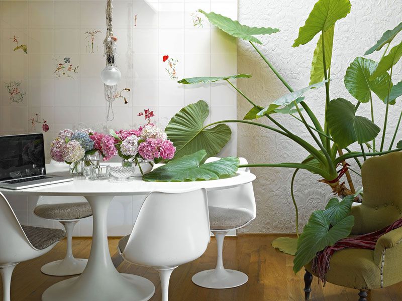 Керамическая плитка FATINE BUFFE от производителя Bardelli –  фото