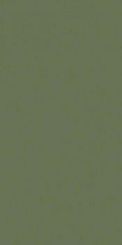 Керамогранит RAINBOW RW06 Непол.Рект 120