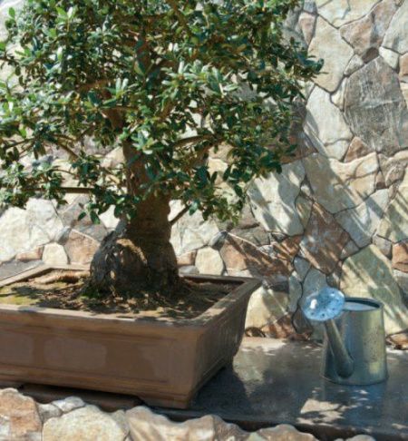 Керамогранит TAPIA от производителя Oset –  фото