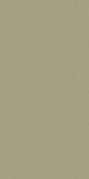 Керамогранит RAINBOW RW061 Непол.Рект 120