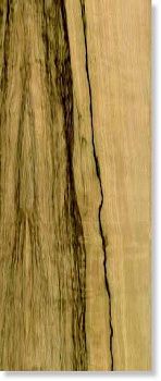 Керамогранит ESSENZE FRAKE NAT