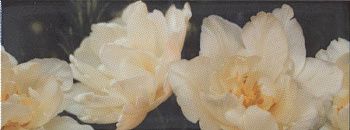 Декор STG\A393\15050 Ноттингем тюльпан