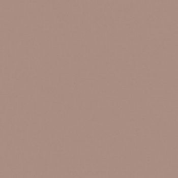 Керамогранит RAINBOW RW 08 неполированный