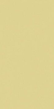 Керамогранит RAINBOW RW151 Непол.Рект 120