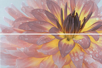 Настенное панно STG\A444\2x\12093R Искья Цветы обрезной (2 части)