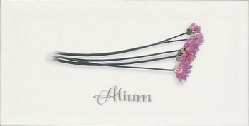 Декор Biselado Decor Blanco Alium