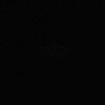 Настенная плитка Arch. Wright New (MEAT)