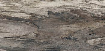 Керамогранит Petrified GREY BARK RETT 30