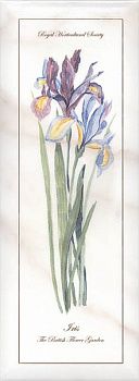 Декор NT\A84\15005 Ноттингем цветы грань