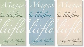 Декор DREAM PAROLE INSERTO S/3