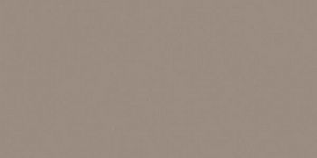 Керамогранит RAINBOW RW041 Полир.