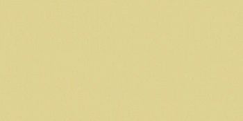 Керамогранит RAINBOW RW151 Непол.Рект.