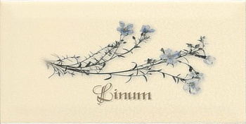 Декор Biselado Decor Crema Linum