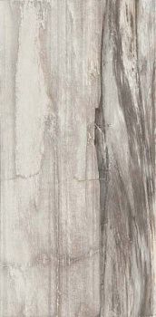 Керамогранит Petrified CORE GREY PANTHER RETT 45