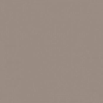 Керамогранит RAINBOW RW 041 неполированный