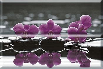 Панно Composicion Wellness Purple 02