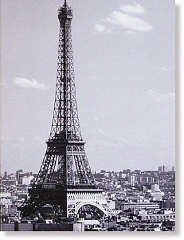 3900-2 Декор PARIS