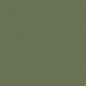 Керамогранит RAINBOW RW06 Полир. 40