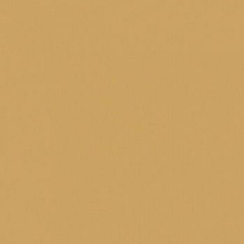 Керамогранит RAINBOW RW152 Полир 60