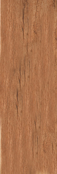 Керамогранит S53690 Eco Wood Red
