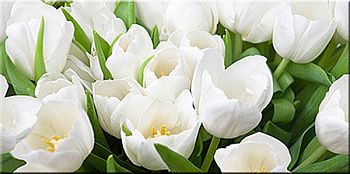 Декор Элара Верде Триумф