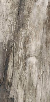 Керамогранит Petrified GREY BARK RETT 45