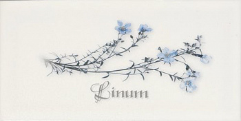 Декор Biselado Decor Blanco Linum