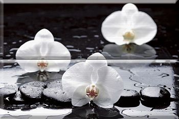 Панно Composicion Wellness White 02