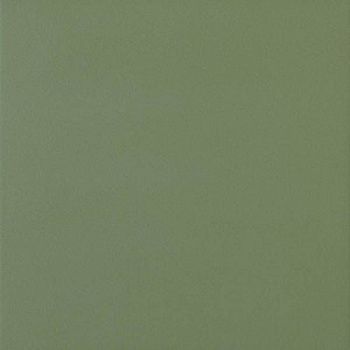 Напольная плитка Retro Sage (RE4)