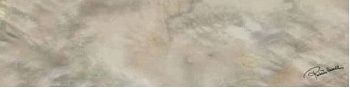 Керамогранит BRIGHT PEARL BRONZE FIRMA RT 0531195