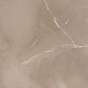Керамогранит PASSION LUX 60 TAUPE (78796621)