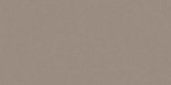 Керамогранит RAINBOW RW041 Непол.Рект.